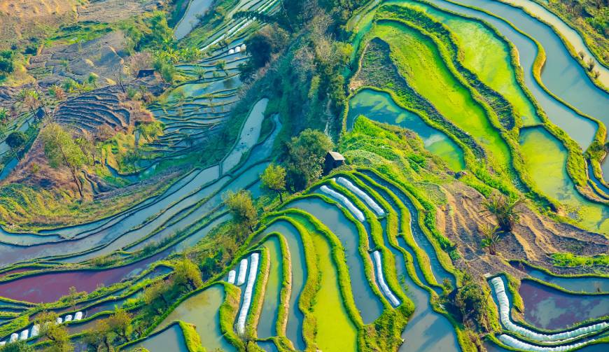 走进广州TVC拍摄：解锁本地化场景与创意镜头的完美融合